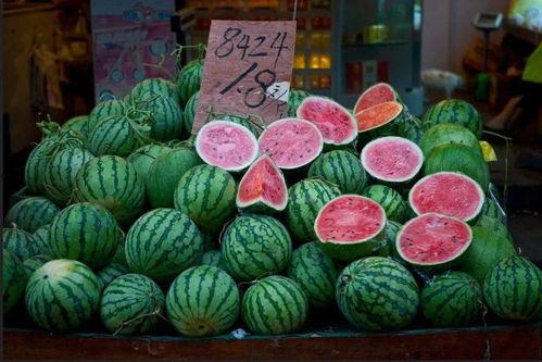 上海免费吃瓜群众,免费吃瓜群众,共享城市夏日清凉盛宴 第3张 上海免费吃瓜群众,免费吃瓜群众,共享城市夏日清凉盛宴 第3张