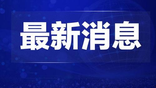 热点爆料宁德新闻网官网,最新热点爆料，聚焦宁德动态